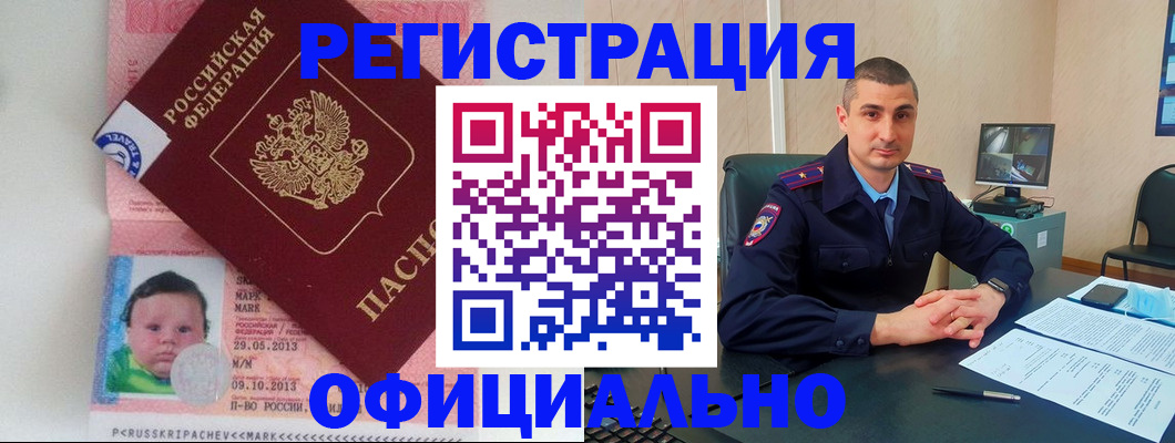 прописка поиск в Щёкино
